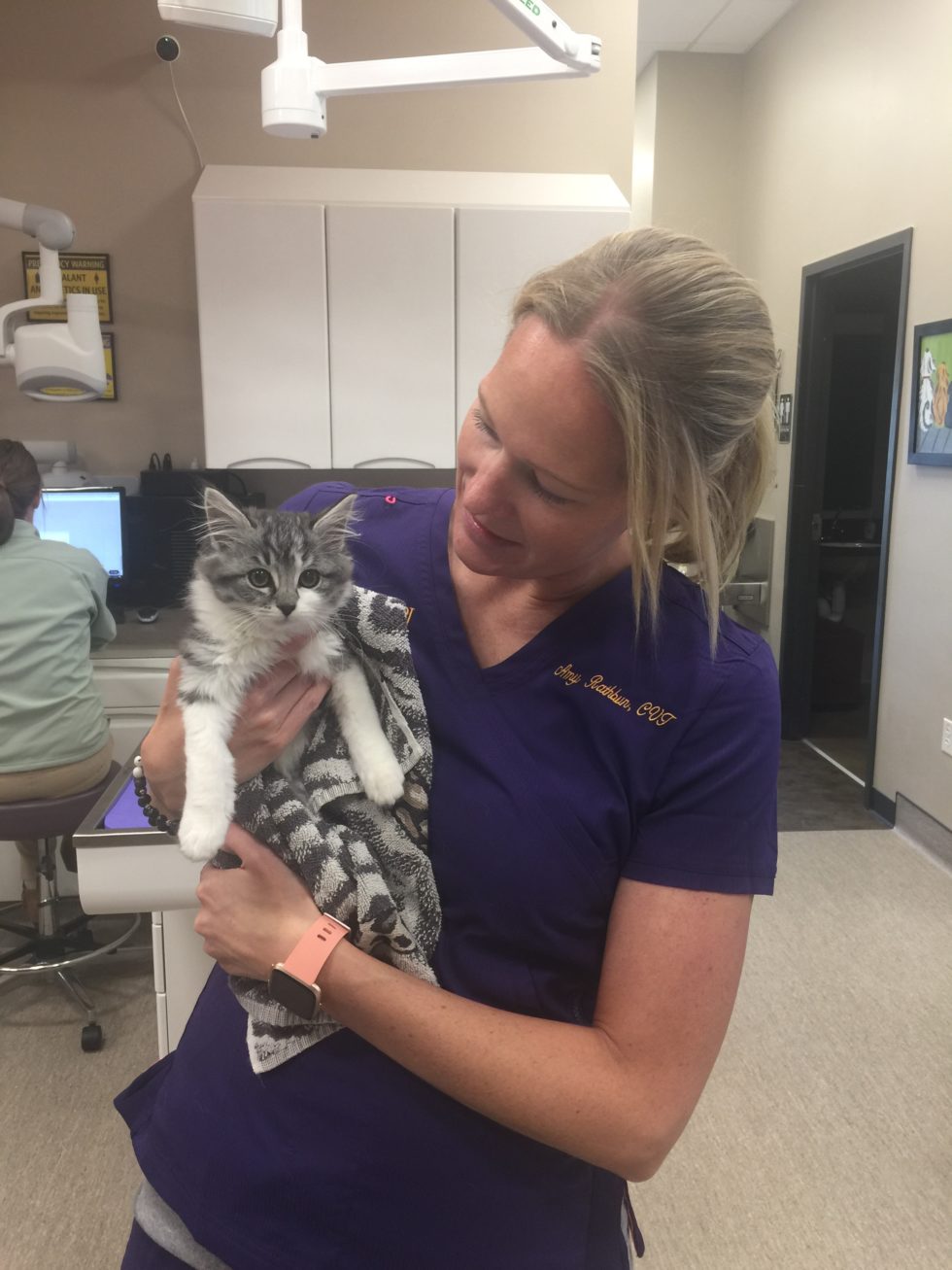 AAHAAccredited Veterinary Hospital Veterinary Center of Parker, Inc.