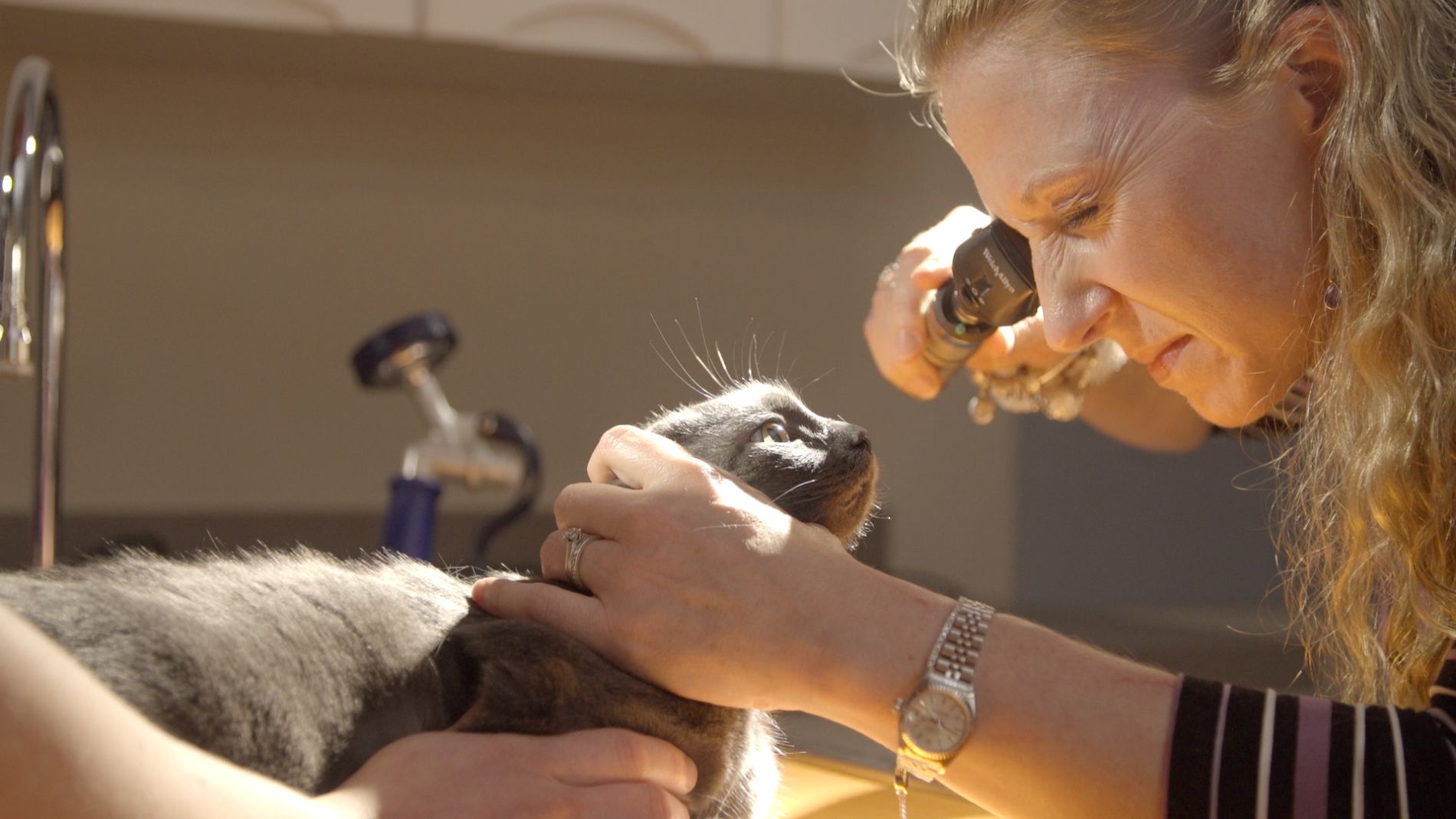 Breed Specific Wellness Veterinary Center of Parker, Inc.