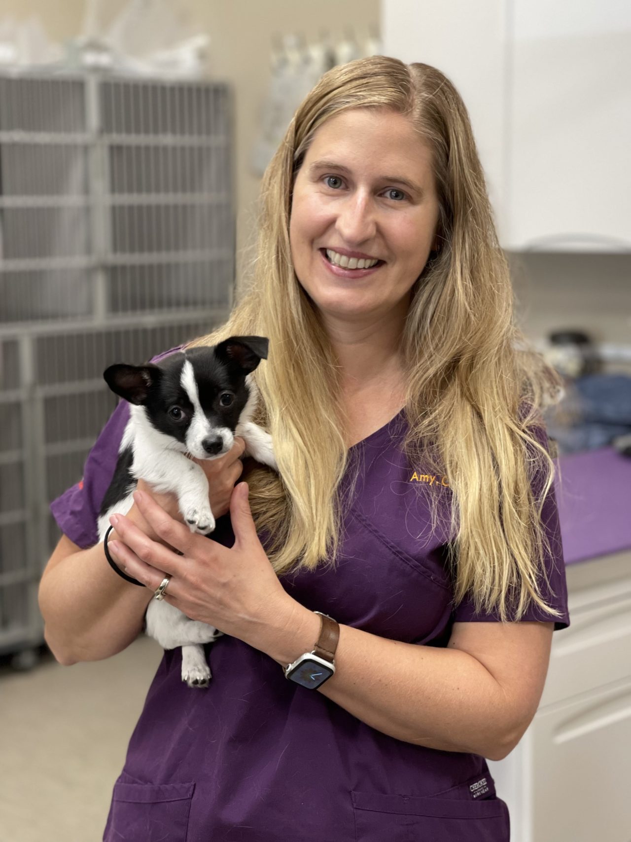 Veterinarian in Parker, CO 80134 Veterinary Center of Parker, Inc.
