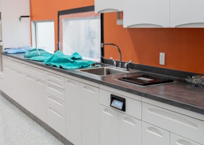 Picture showing our extremely clean and sterile veterinary work space